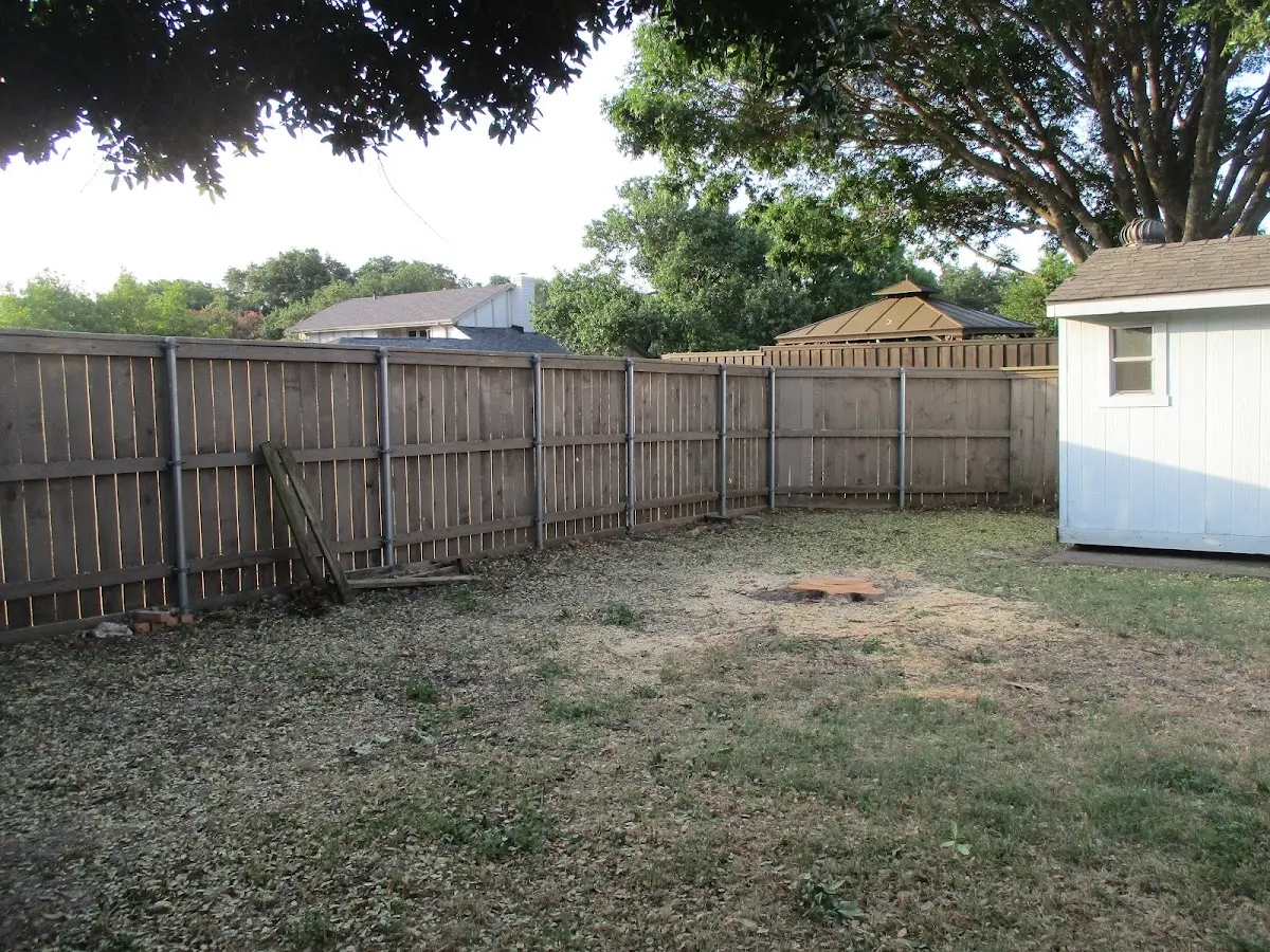 Cleared yard after professional tree removal in Fife Lake