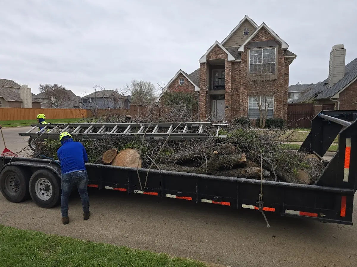 Expert Crown Reduction with proper safety equipment in Fife Lake